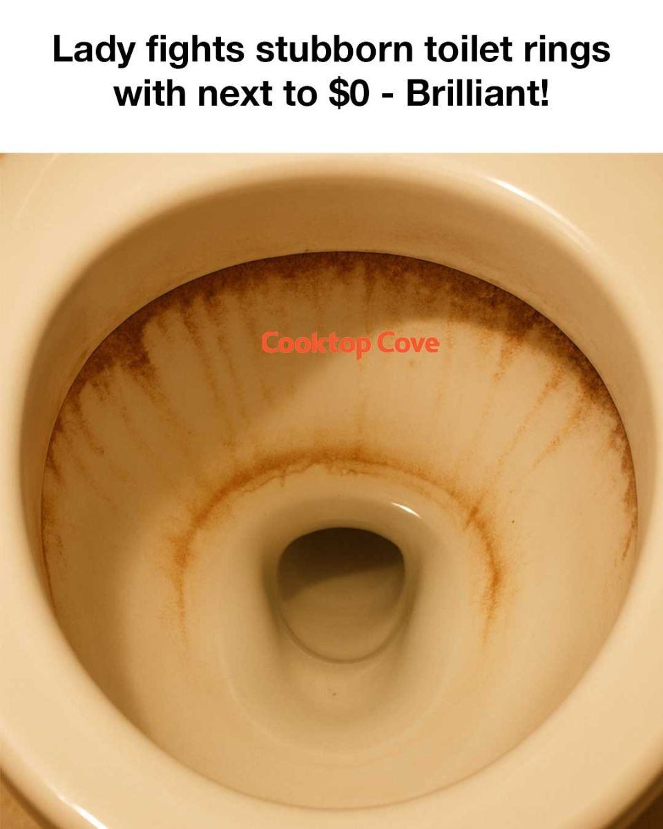 Lady fights stubborn toilet rings with next to alt=